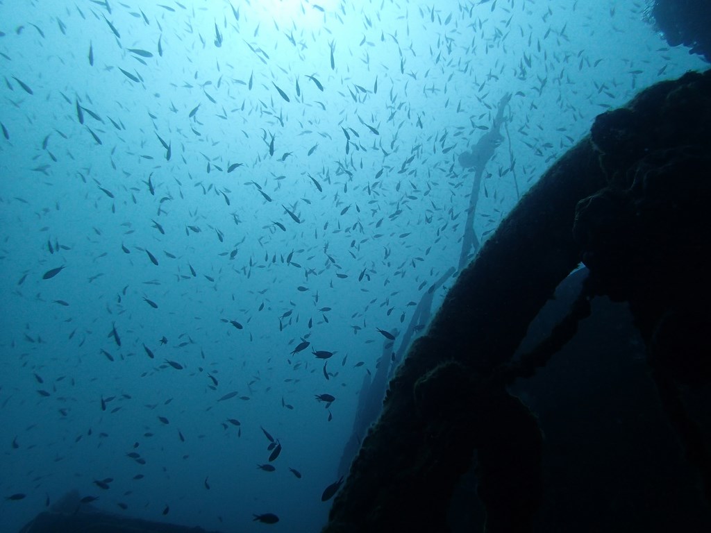 wreck dive