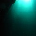 Le formmiche di Vivara, Procida